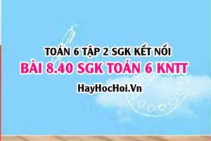 Bài 8.40 SGK Toán 6 tập 2 Kết nối tri thức